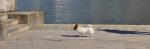 Florence Rovira - Promenade